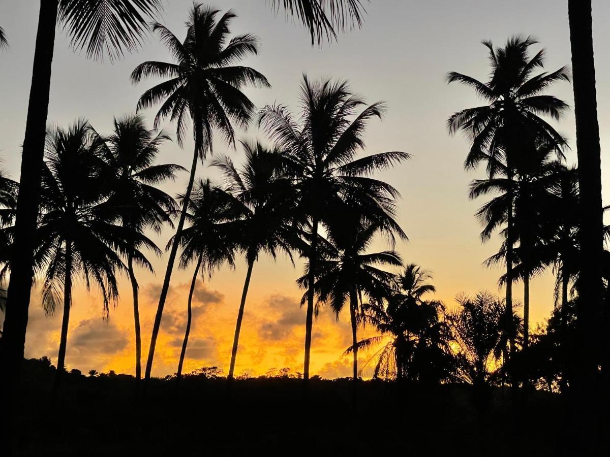 Pousada Horizonte Azul Velha Boipeba Zewnętrze zdjęcie