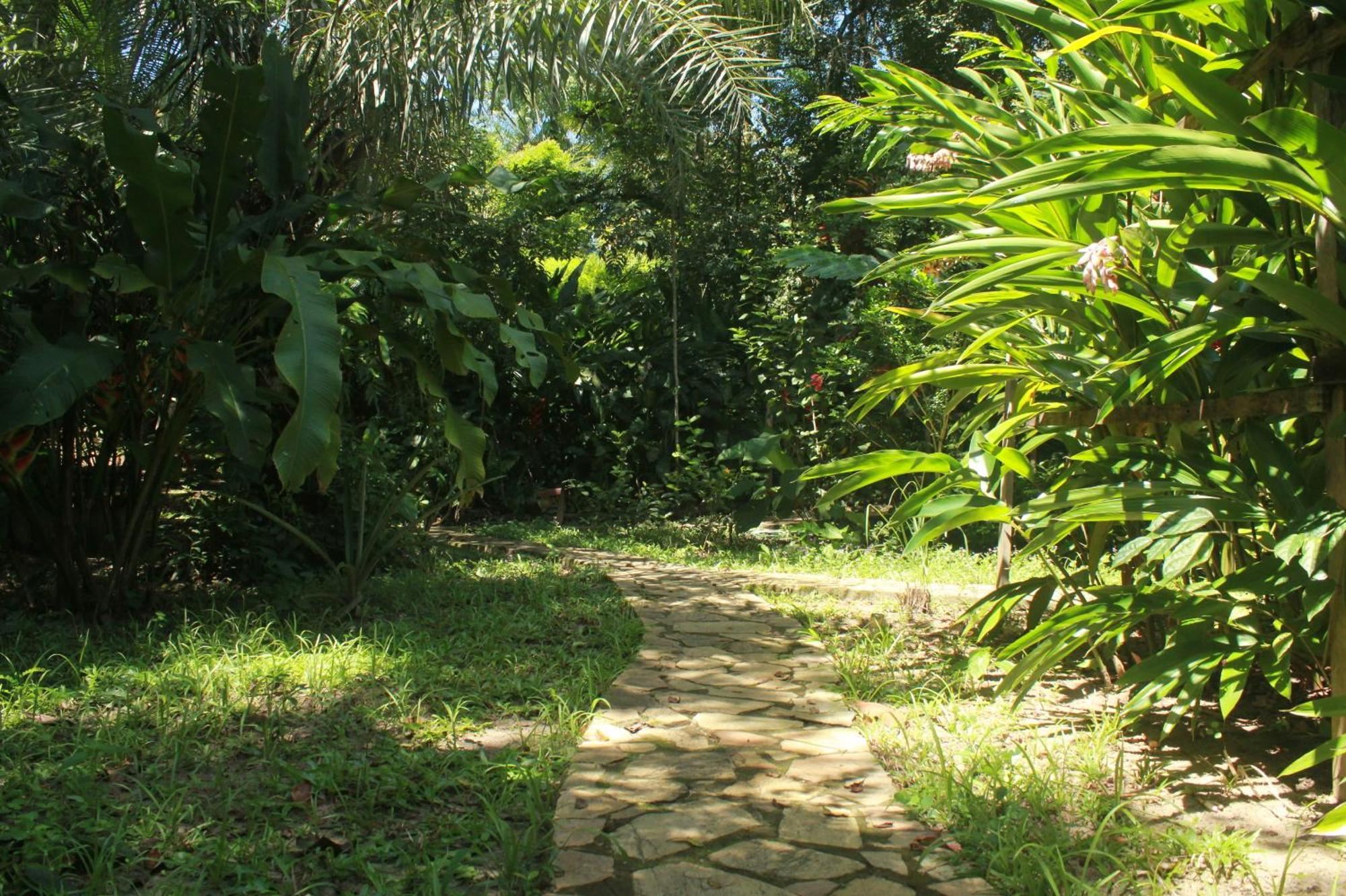 Pousada Horizonte Azul Velha Boipeba Zewnętrze zdjęcie